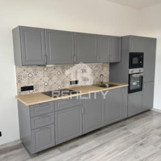 Pronájem bytu 4+kk 100 m² Ostrava Vítkovice, Erbenova