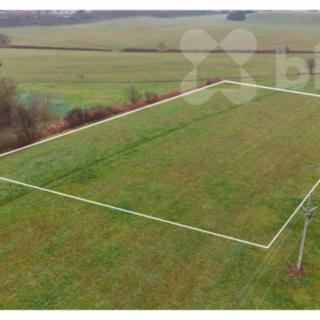 Prodej louky 11 105 m² Holice Podlesí