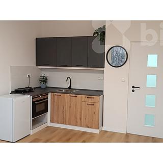 Pronájem bytu 1+kk a garsoniéry 26 m² Přerov I-Město, Budovatelů