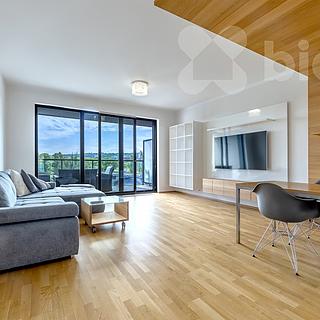 Pronájem bytu 3+kk 97 m² Praha Holešovice, Sanderova