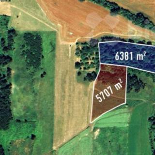 Prodej zemědělské půdy 12 088 m² Velké Popovice, Husova