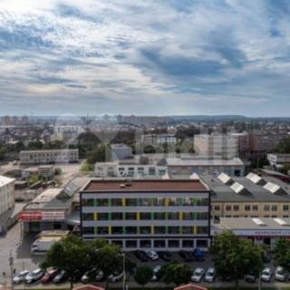 Pronájem kanceláře 100 m² Hradec Králové