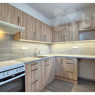 Pronájem bytu 2+1 53 m² Přerov I-Město, Jasínkova