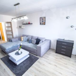 Prodej bytu 3+1 65 m² Borovany