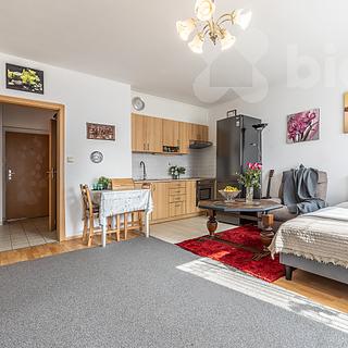 Prodej bytu 1+kk, garsoniery 38 m&sup2; Praha