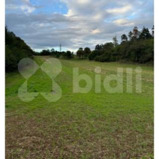 Prodej zemědělské půdy 40 375 m² Sebranice