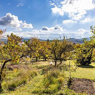 Prodej ostatních pozemků 560 m&sup2; Příchovice