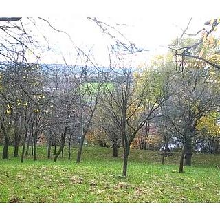 Prodej zahrady 3 492 m² Přílepy