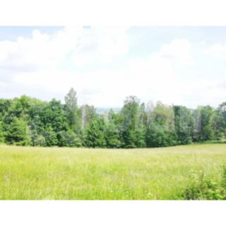 Prodej stavební parcely 1 430 m² Semily Spálov