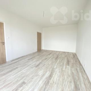 Pronájem bytu 2+1 68 m² Hradec Králové Nový, Palachova