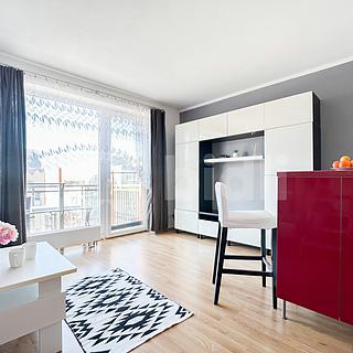 Pronájem bytu 1+kk, garsoniery 31 m&sup2; Hostivice