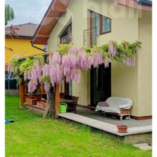 Prodej rodinného domu 214 m² Bašť