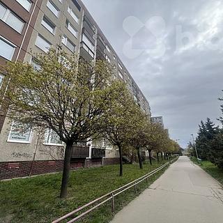 Pronájem bytu 3+1 70 m&sup2; Praha