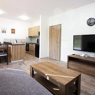 Prodej bytu 2+kk 45 m² Červená Voda Mlýnický Dvůr