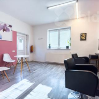 Prodej ostatního komerčního prostoru 193 m² Holice Staré, Staroholická