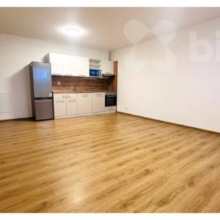 Pronájem bytu 2+kk 58 m² Chýně, Uherova