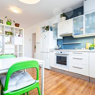 Prodej bytu 1+kk a garsoniéry 41 m² Praha Žižkov, K lučinám