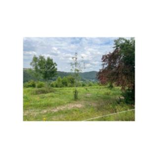 Prodej stavební parcely 1 500 m² Zbečno Újezd nad Zbečnem