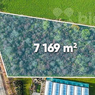 Prodej ostatních pozemků 7169 m² Postřižín