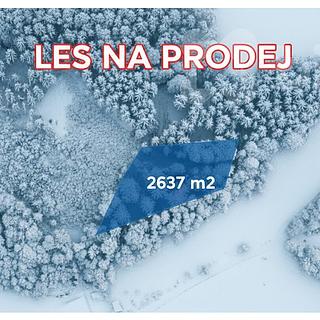 Prodej lesa 2637 m&sup2; Velké Hamry