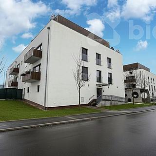 Prodej bytu 1+kk, garsoniery 79 m² Praha