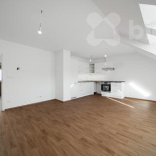 Pronájem bytu 2+kk 58 m² Hradec Králové Pražské Předměstí, Habrmanova