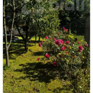 Prodej chaty 150 m² Fulnek