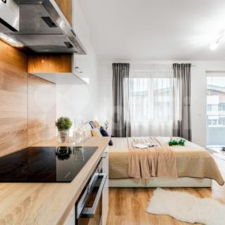 Pronájem bytu 1+kk, garsoniery 40 m² Praha