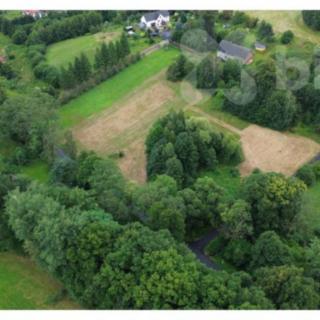 Prodej louky 3 327 m² Pertoltice Dolní