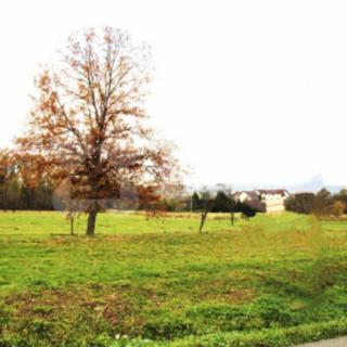 Prodej stavební parcely 2 000 m² Mankovice