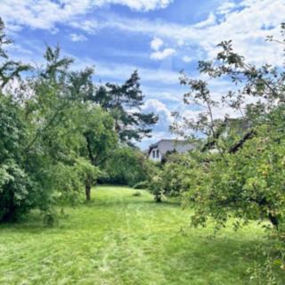Pronájem zahrady 1066 m² Dubné