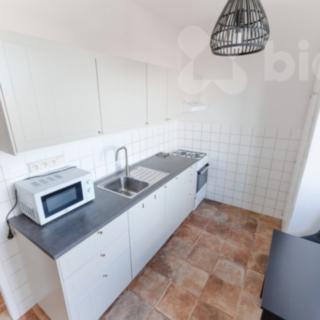 Prodej bytu 2+1 50 m² Praha Veleslavín, Na Petřinách