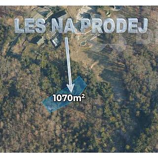 Prodej lesa 1 070 m² Tanvald Šumburk nad Desnou