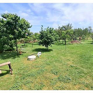 Prodej stavební parcely 1313 m² Čejkovice