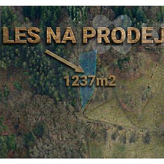 Prodej lesa 1 237 m² Tanvald Šumburk nad Desnou