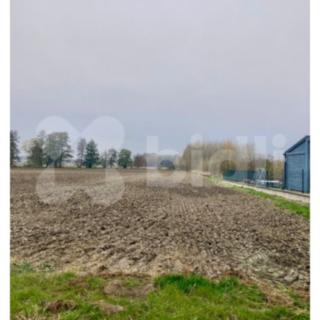 Prodej zemědělské půdy 3 178 m² Štítina