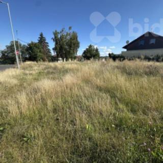 Prodej stavební parcely 4903 m² Heřmanův Městec