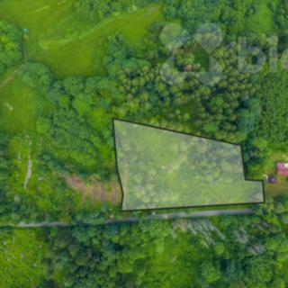 Prodej lesa 7 528 m² Chuchelna