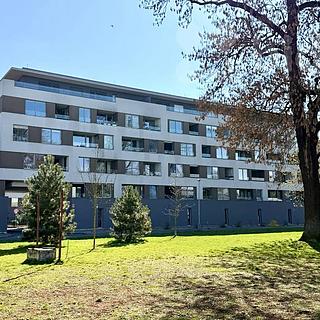 Pronájem bytu 3+kk 84 m² Pardubice Bílé Předměstí, Husova