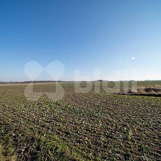 Prodej stavební parcely 4 435 m² Pardubice Dražkovice