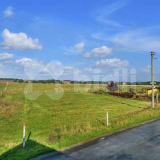 Prodej stavební parcely 17 519 m² Rokytá Dolní
