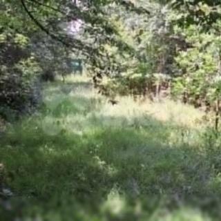Prodej zahrady 3595 m² Brno