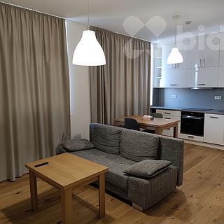 Pronájem bytu 1+kk a garsoniéry 35 m² Prostějov, Floriána Nováka