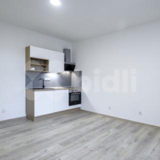Pronájem bytu 2+kk 55 m² Praha
