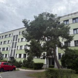 Pronájem bytu 3+kk 55 m² Hradec Králové Pražské Předměstí, V Koutech