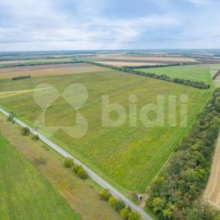 Prodej zemědělské půdy 232 138 m² Pohořelice Nová Ves