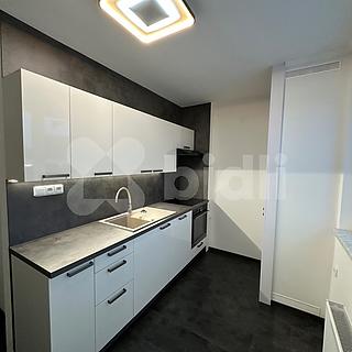 Pronájem bytu 2+1 65 m² Hradec Králové Věkoše, Široká