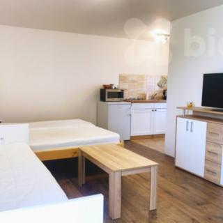 Pronájem bytu 1+kk a garsoniéry 22 m² Zálší