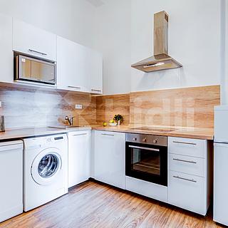 Pronájem bytu 1+1 52 m² Brno Zábrdovice, Cejl