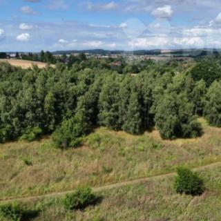 Prodej zemědělské půdy 12 088 m² Velké Popovice, Husova